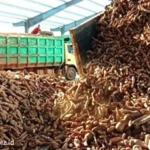 Peluang Usaha di Riau