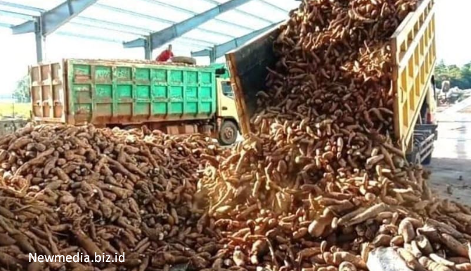 Peluang Usaha di Riau