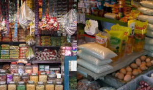 ide Bisnis Unik di Desa
